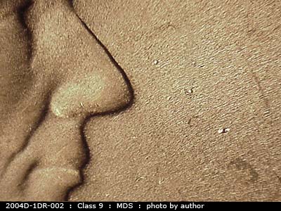Die-stage B marker on 2004D•1DR•002 (2004 Doubled Die Reverse).