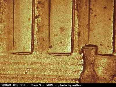 2004 Lincoln cent obverse, CopperCoins die 2004D•1DR•003.