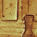 Pre-attribution image for 2004D•1DR•003
