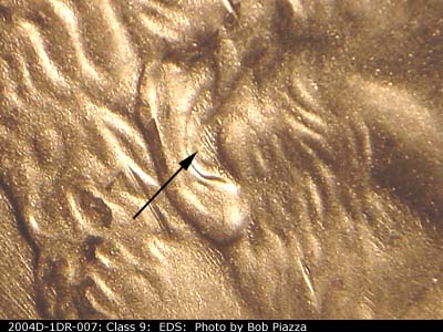 Die-stage A marker on 2004D•1DR•007 (2004 Doubled Die Reverse).