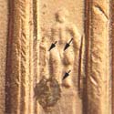 Pre-attribution image for 2004P•1DR•010