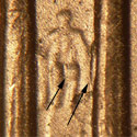 Pre-attribution image for 2004P•1DR•015