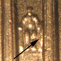 Pre-attribution image for 2004P•1DR•017