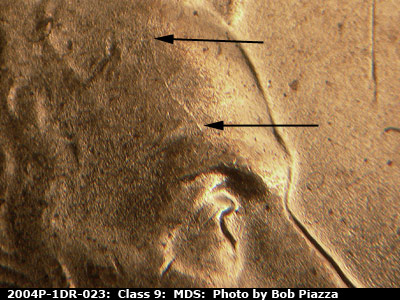 Die-stage B marker on 2004P•1DR•023 (2004 Doubled Die Reverse).