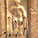 Pre-attribution image for 2004P•1DR•027