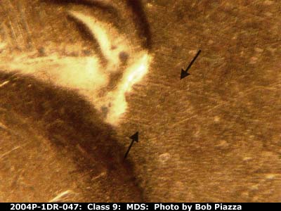 Die-stage B marker on 2004P•1DR•047 (2004 Doubled Die Reverse).