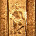 Pre-attribution image for 2004P•1DR•048