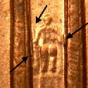 Pre-attribution image for 2004P•1DR•055