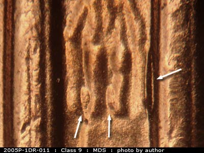 2005 Lincoln cent obverse, CopperCoins die 2005P•1DR•011.