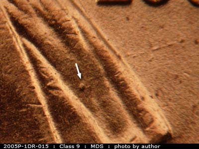 Die-stage B marker on 2005P•1DR•015 (2005 Doubled Die Reverse).