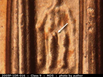 2005 Lincoln cent obverse, CopperCoins die 2005P•1DR•016.
