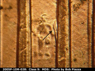 2005 Lincoln cent obverse, CopperCoins die 2005P•1DR•028.