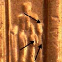 Pre-attribution image for 2005P•1DR•031