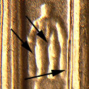 Pre-attribution image for 2006D•1DR•004