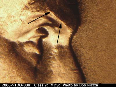 Die-stage B marker on 2006P•1DO•008 (2006 Doubled Die Obverse).