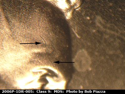 Die-stage B marker on 2006P•1DR•005 (2006 Doubled Die Reverse).
