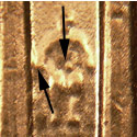 Pre-attribution photo for 2006P•1DR•011