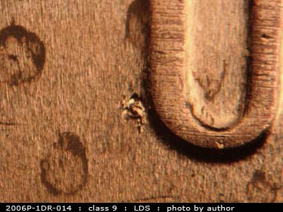 Die-stage C marker on 2006P•1DR•014 (2006 Doubled Die Reverse).