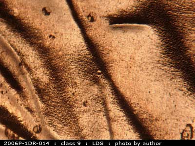 Die-stage C marker on 2006P•1DR•014 (2006 Doubled Die Reverse).