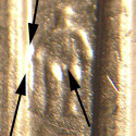 Pre-attribution photo for 2006P•1DR•018