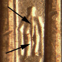Pre-attribution photo for 2006P•1DR•020