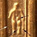 Pre-attribution photo for 2006P•1DR•024