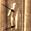 Pre-attribution photo for 2006P•1DR•025