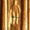 Pre-attribution photo for 2006P•1DR•029