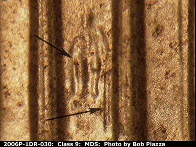 2006 Lincoln cent obverse, CopperCoins die 2006P•1DR•030.