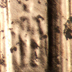 Pre-attribution photo for 2006P•1DR•040