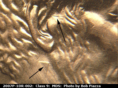 Die-stage B marker on 2007P•1DR•002 (2007 Doubled Die Reverse).
