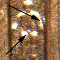 Pre-attribution photo for 2007P•1DR•003