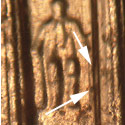 Pre-attribution image for 2007P•1DR•004