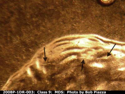 Die-stage B marker on 2008P•1DR•003 (2008 Doubled Die Reverse).