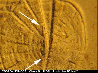 Die-stage B marker on 2009D•1DR•003 (2009 Doubled Die Reverse).