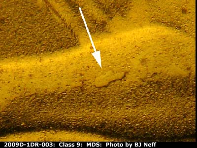 Die-stage B marker on 2009D•1DR•003 (2009 Doubled Die Reverse).
