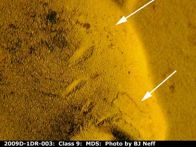 Die-stage B marker on 2009D•1DR•003 (2009 Doubled Die Reverse).