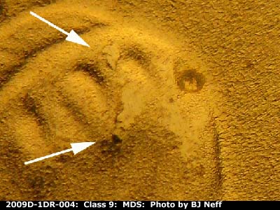 Die-stage B marker on 2009D•1DR•004 (2009 Doubled Die Reverse).