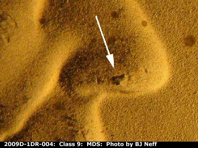 Die-stage B marker on 2009D•1DR•004 (2009 Doubled Die Reverse).