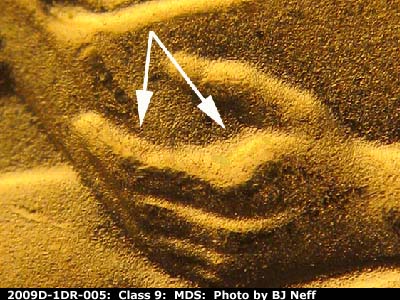 2009 Lincoln cent obverse, CopperCoins die 2009D•1DR•005.