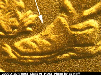Die-stage B marker on 2009D•1DR•005 (2009 Doubled Die Reverse).