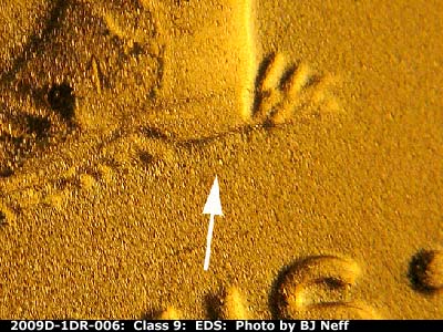 Die-stage A marker on 2009D•1DR•006 (2009 Doubled Die Reverse).