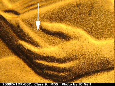 2009 Lincoln cent obverse, CopperCoins die 2009D•1DR•007.