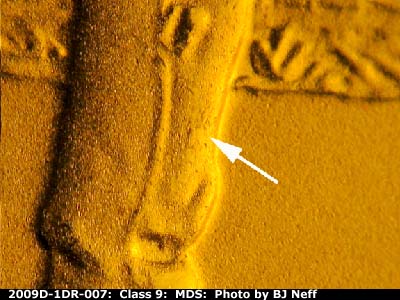 Die-stage B marker on 2009D•1DR•007 (2009 Doubled Die Reverse).