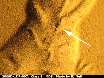 Die-stage B marker on 2009D•1DR•007 (2009 Doubled Die Reverse).