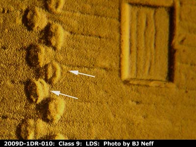 Die-stage C marker on 2009D•1DR•010 (2009 Doubled Die Reverse).