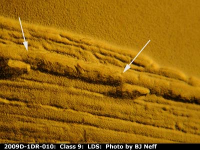 Die-stage C marker on 2009D•1DR•010 (2009 Doubled Die Reverse).