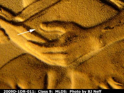 2009 Lincoln cent obverse, CopperCoins die 2009D•1DR•011.