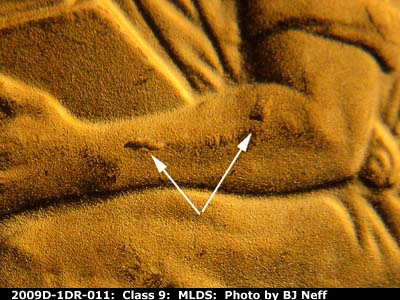 Die-stage B marker on 2009D•1DR•011 (2009 Doubled Die Reverse).