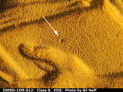 Die-stage A marker on 2009D•1DR•012 (2009 Doubled Die Reverse).